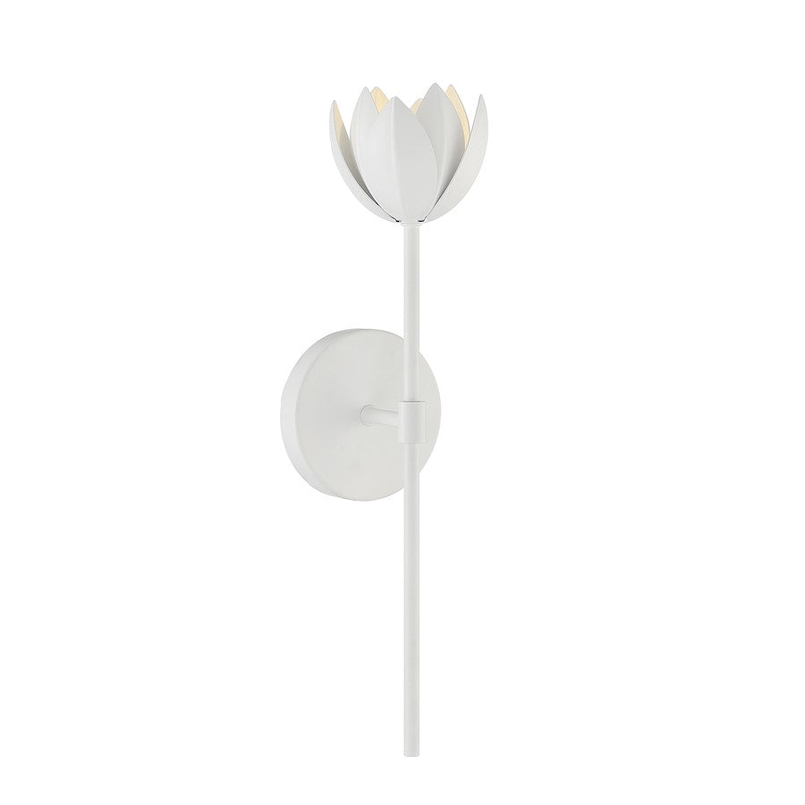 1 Light LED Wall Sconce