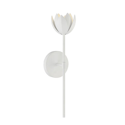 1 Light LED Wall Sconce