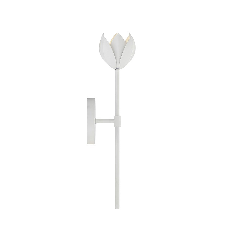 1 Light LED Wall Sconce
