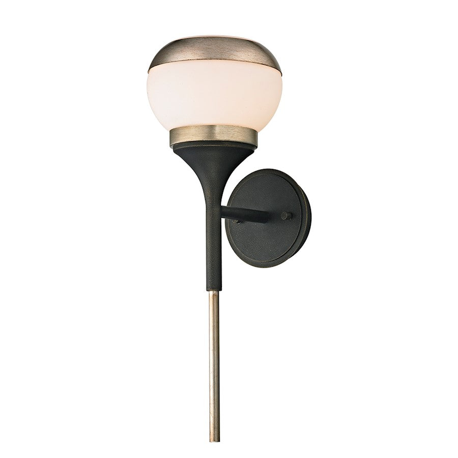 1 Light Wall Sconce