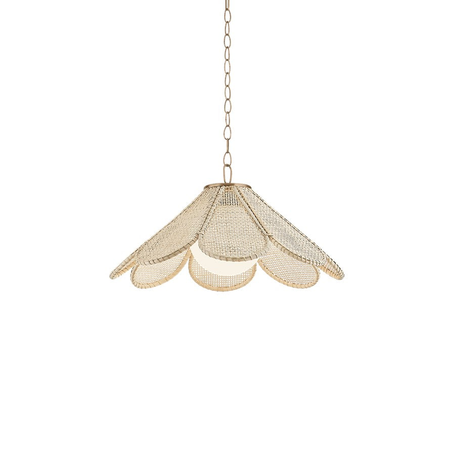 Troy Lighting Petal 1Lt 24" Pendant, Patina Brass/Opal Glossy - F3324-PBR