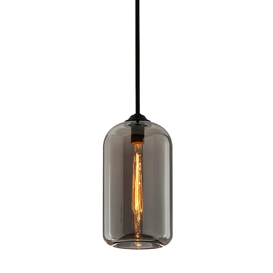 1 Light Pendant