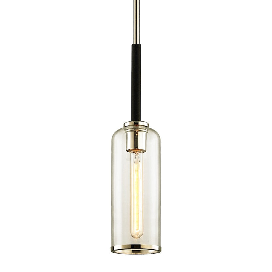 1 Light Mini Pendant, Carbide Black Polished Nickel