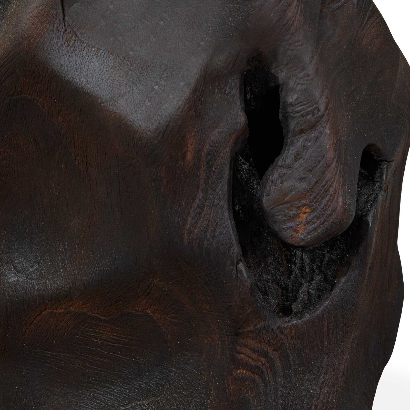 Uttermost Ember Root Teak Sculpture Set/2 | Burnt Black Wood Finish | Console & Shelf Decor | 8.25 x 8 x 10.25 in | Model 17152