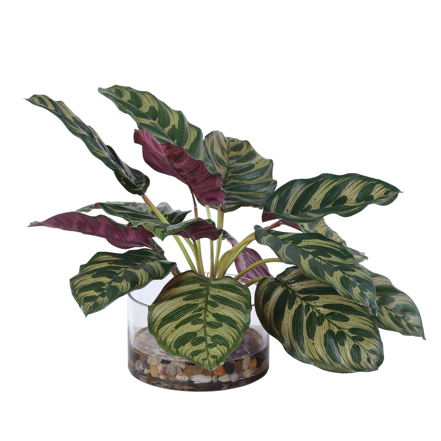 Uttermost Peacock Plant Accent | Green Faux Plant in Glass Vase | Living Room & Office Decor | 15.5 x 15.5 x 13 in | Model 60273