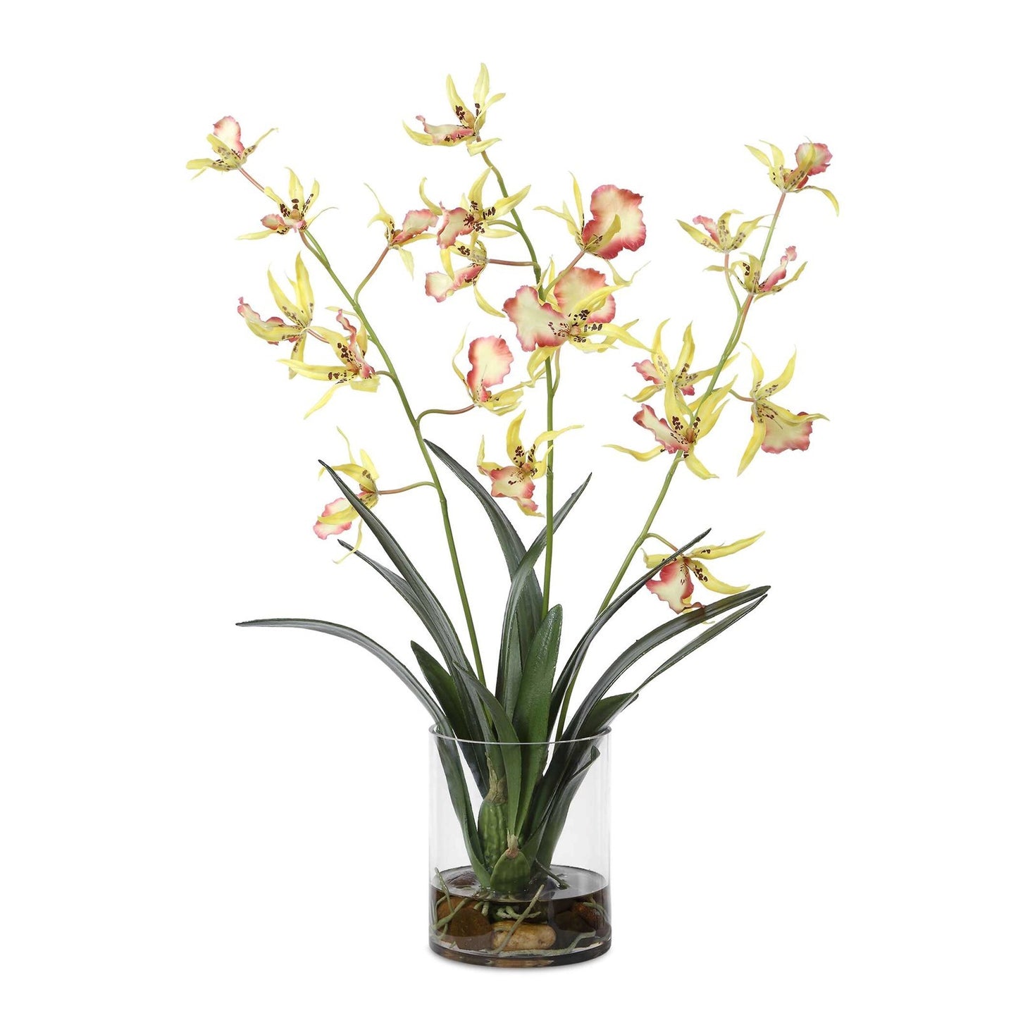 Uttermost Spider Orchid in Glass Vase | Coral & Yellow Faux Orchid | Living Room & Office Decor | 13.5 x 14 x 31 in | Model 60274