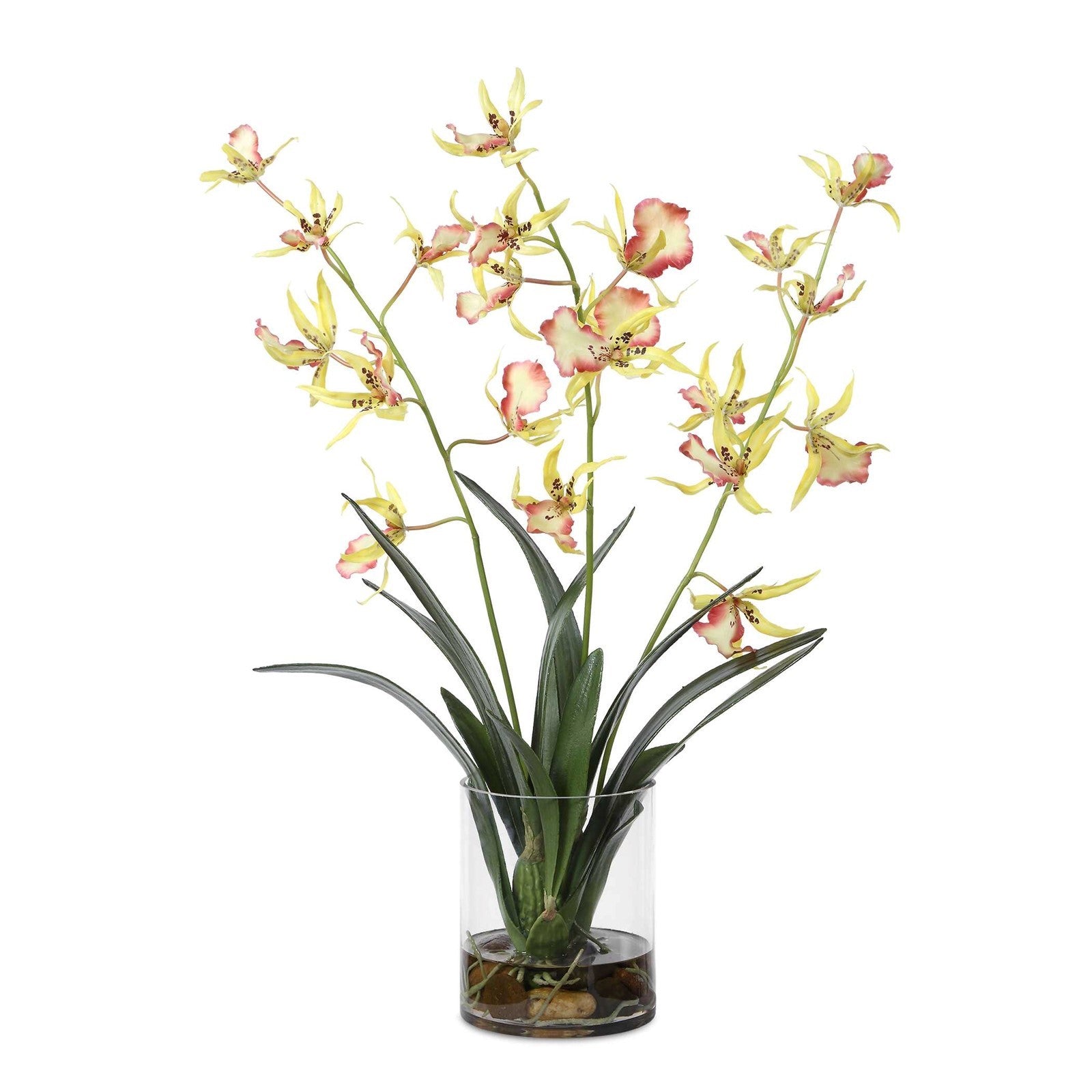 Uttermost Spider Orchid in Glass Vase | Coral & Yellow Faux Orchid | Living Room & Office Decor | 13.5 x 14 x 31 in | Model 60274
