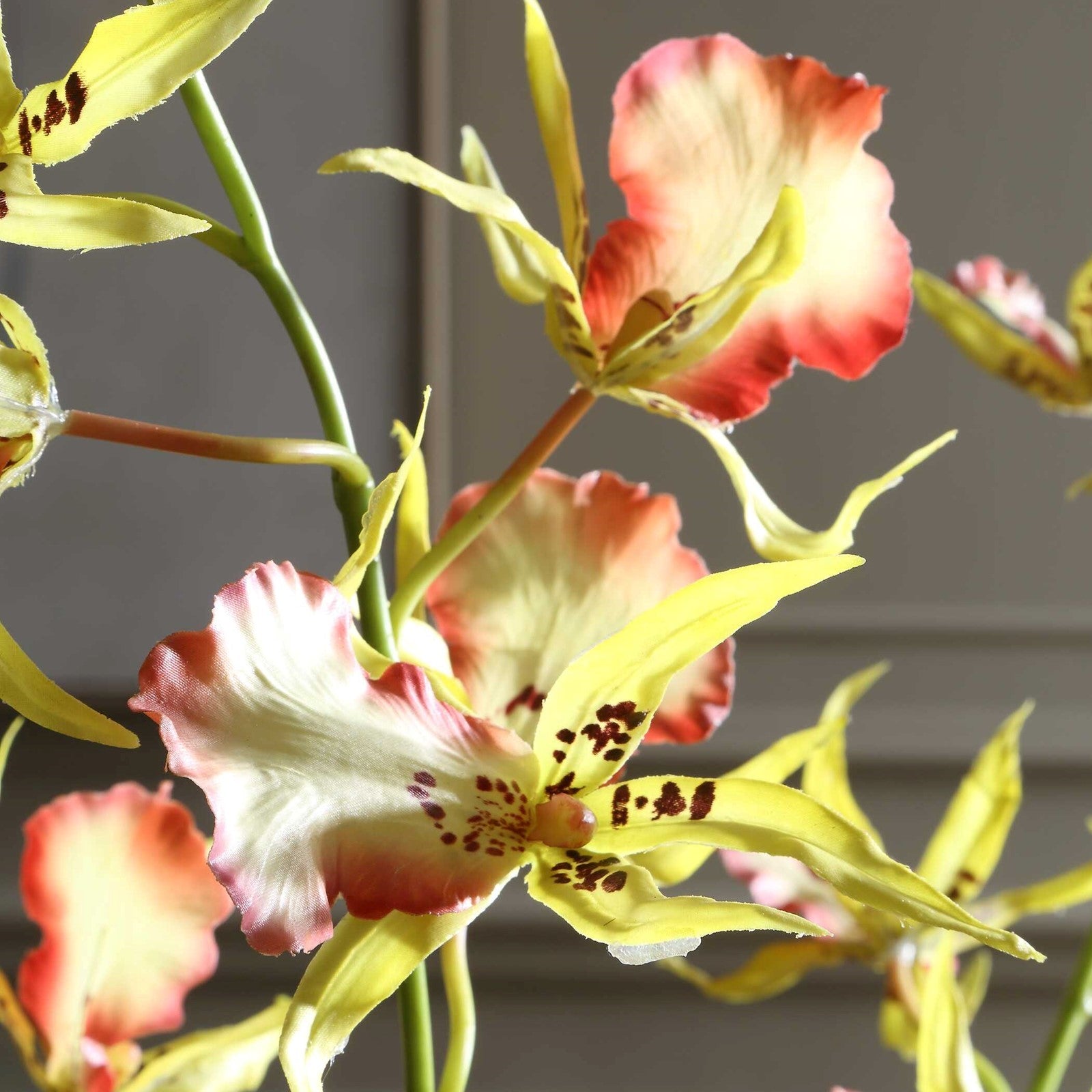 Uttermost Spider Orchid in Glass Vase | Coral & Yellow Faux Orchid | Living Room & Office Decor | 13.5 x 14 x 31 in | Model 60274