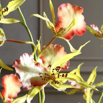 Uttermost Spider Orchid in Glass Vase | Coral & Yellow Faux Orchid | Living Room & Office Decor | 13.5 x 14 x 31 in | Model 60274
