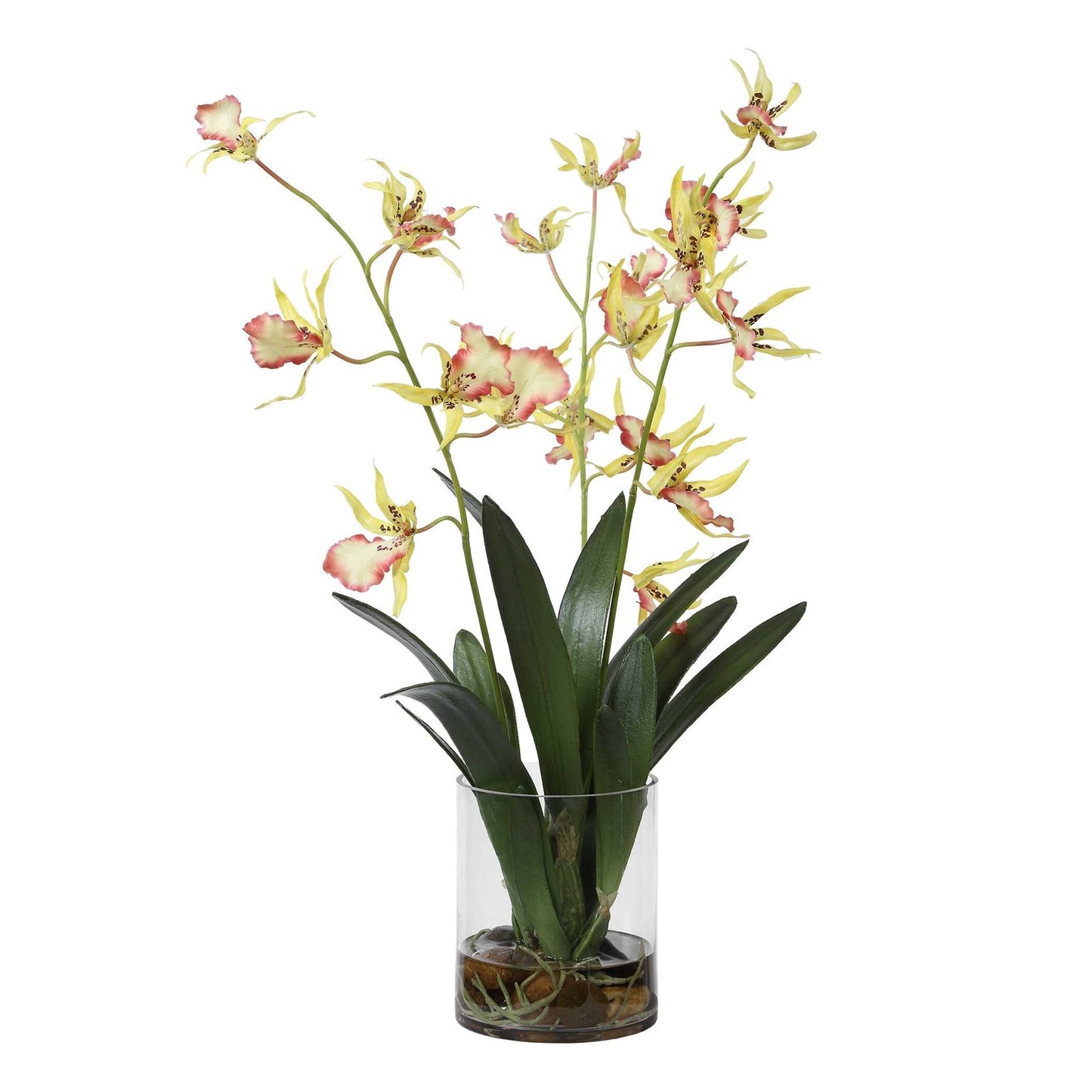 Uttermost Spider Orchid in Glass Vase | Coral & Yellow Faux Orchid | Living Room & Office Decor | 13.5 x 14 x 31 in | Model 60274