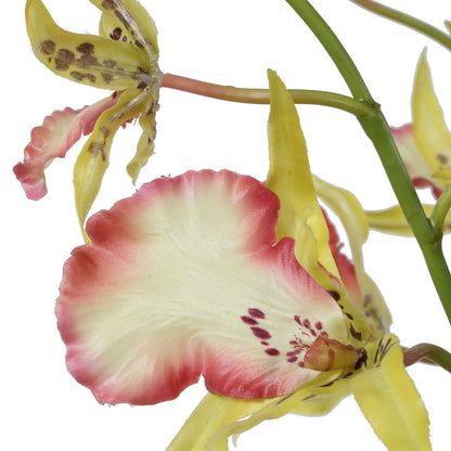 Uttermost Spider Orchid in Glass Vase | Coral & Yellow Faux Orchid | Living Room & Office Decor | 13.5 x 14 x 31 in | Model 60274
