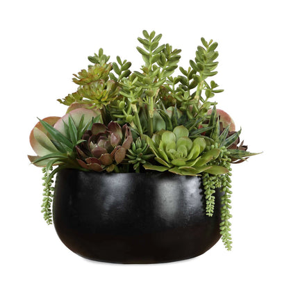 Uttermost Mico Succulent Centerpiece | Matte Black Vase with Green & Burgundy Faux Succulents | Indoor-Outdoor Table Decor | Model 60277