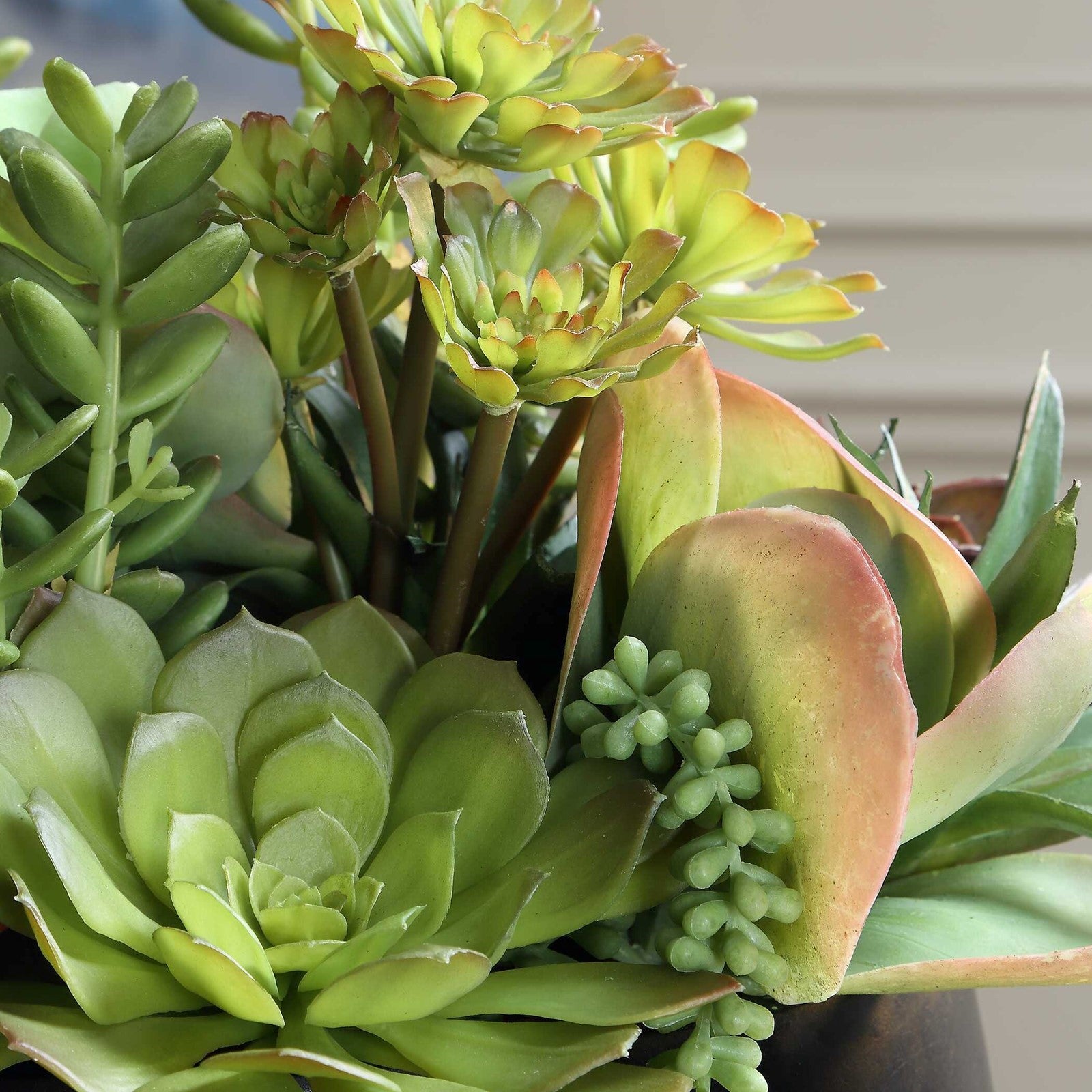 Uttermost Mico Succulent Centerpiece | Matte Black Vase with Green & Burgundy Faux Succulents | Indoor-Outdoor Table Decor | Model 60277