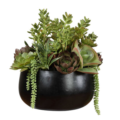 Uttermost Mico Succulent Centerpiece | Matte Black Vase with Green & Burgundy Faux Succulents | Indoor-Outdoor Table Decor | Model 60277