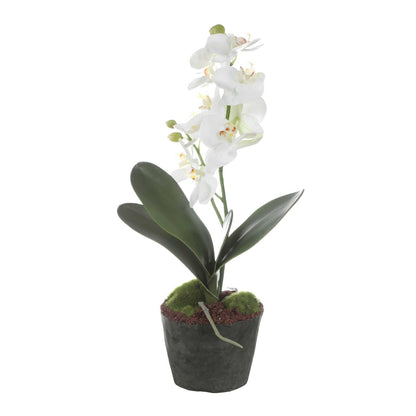 Uttermost Laris Orchid Drop-In | White Moth Orchid Stem with Moss & Permanent Soil | Planter Insert for Indoor Pots | 9 x 9 x 14.75 in | Model 60280