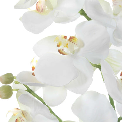 Uttermost Laris Orchid Drop-In | White Moth Orchid Stem with Moss & Permanent Soil | Planter Insert for Indoor Pots | 9 x 9 x 14.75 in | Model 60280
