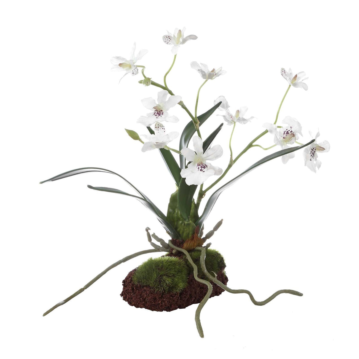 Uttermost Clovis Orchid Drop-In | Lifelike White Dancing Orchid with Soil and Moss | Shelf & Table Decor | 10.25 x 6.25 x 11 in | Model 60281