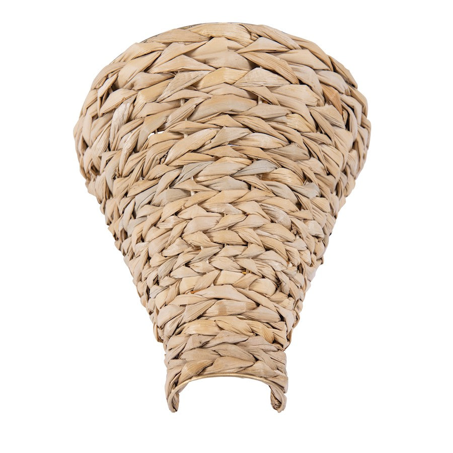 1 Light Wall Sconce