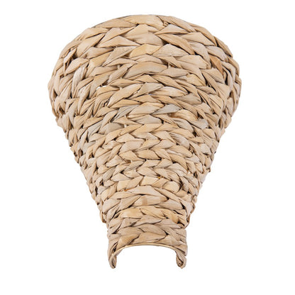 1 Light Wall Sconce