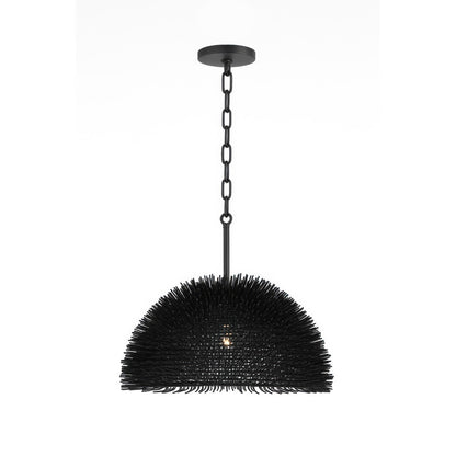 Varaluz Urchin 1 Light Dome Pendant, Black/Black
