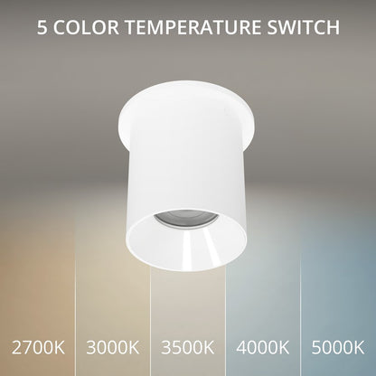 WAC Zoron 1Lt 3.5" RD Flush Mount/Narrow Beam White-White/Clear