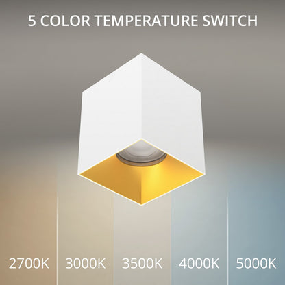 WAC Zoron 1Lt 3.5" Square 4SL Flush Mount/Flood Beam White Gold