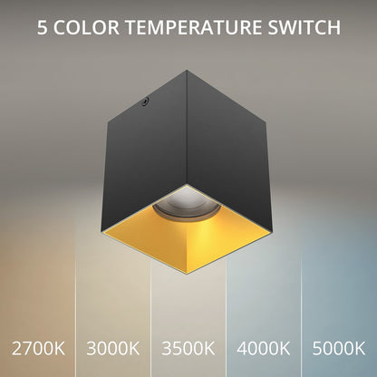 WAC Zoron 1Lt 3.5" Square 4SL Flush Mount/Narrow Beam Black Gold