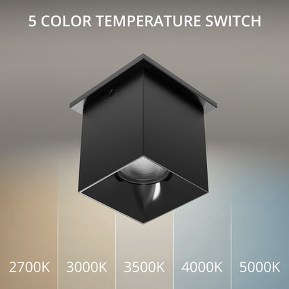 WAC Zoron 1Lt 3.5" Square Flush Mount/Flood Beam Black Black/Clear