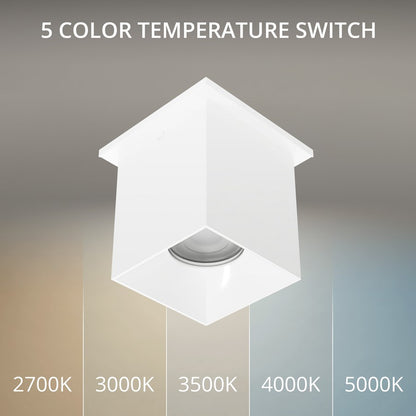 WAC Zoron 1Lt 3.5" Square Flush Mount/Narrow Beam White White/Clear