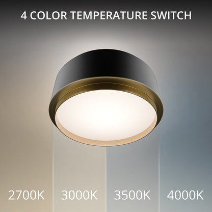 dweLED Salvo 1Lt 9" Flush/4000K, Black Brass/White Opaque