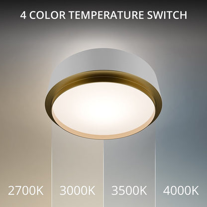 dweLED Salvo 1Lt 12" Flush/2700K, White Brass/White Opaque