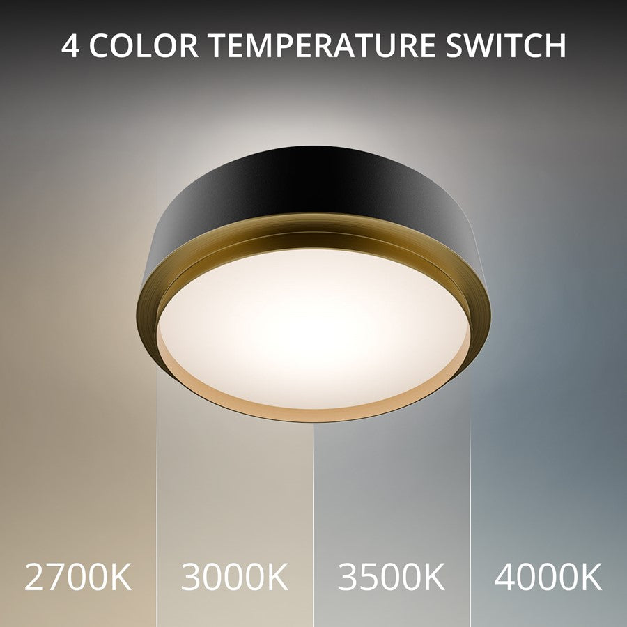 dweLED Salvo 1Lt 12" Flush/3500K, Black Brass/White Opaque