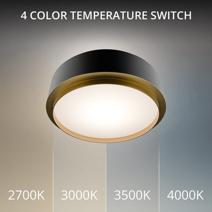 dweLED Salvo 1Lt 12" Flush/4000K, Black Brass/White Opaque