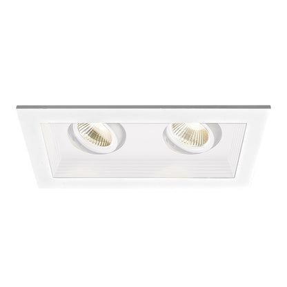WAC Lighting Lucio LED 2 Light Remodel Housing