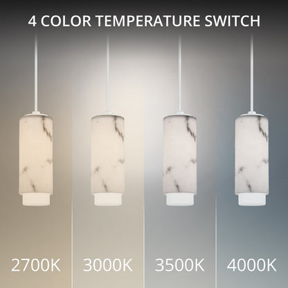 dweLED Aragon 1Lt 5" Mini-Pendant/3500K, White/Alabaster/Frost