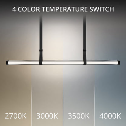 dweLED Balance Beam 1Lt 53" Linear Pendant/2700K, Black/Frost