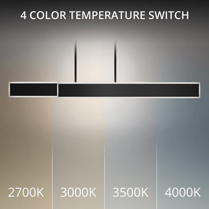 dweLED Bastone 2Lt 50" Linear Pendant/3500K, Black/Clear/Etched