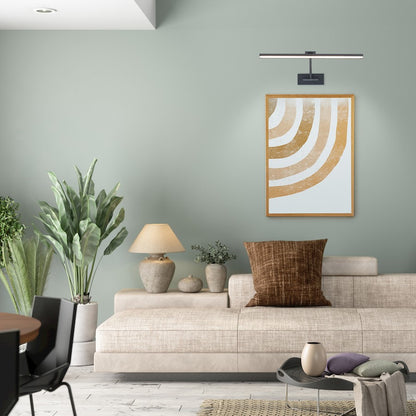 1 Light Adjustable Picture Light 3000K