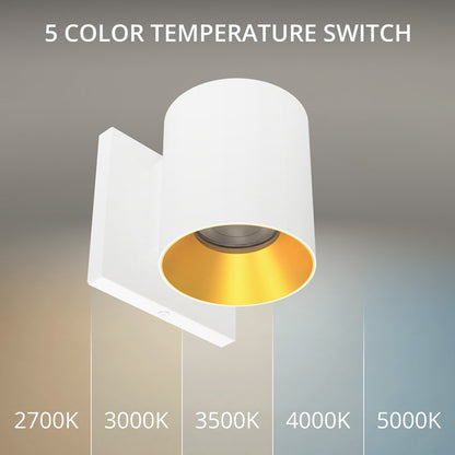WAC Zoron 1Lt 3.5" RD Outdoor Wall Light, Narrow Beam/White Gold