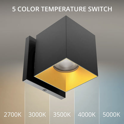 WAC Zoron 1Lt 3.5" Square Outdoor Wall Light, Narrow Beam/Black Gold