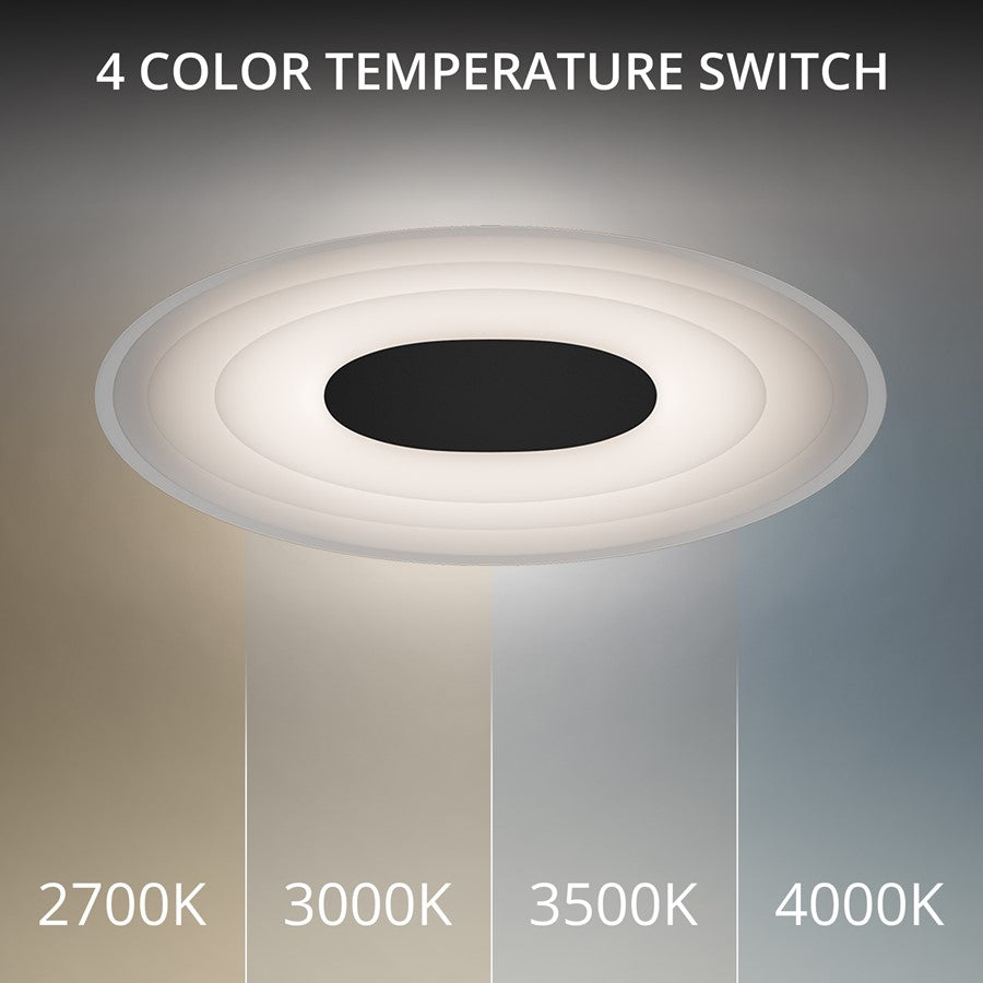 dweLED Orbix 1 Light 6" Wall Sconce/3000K, Black/Clear/Etched