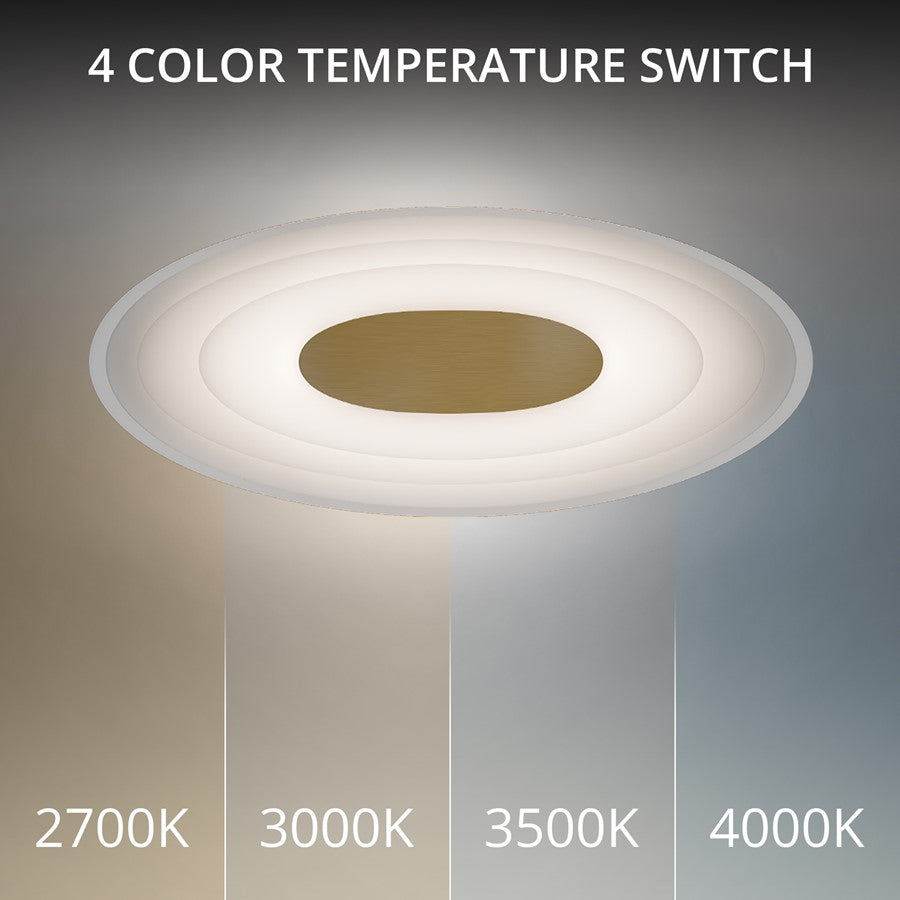 dweLED Orbix 1Lt 6" Wall Sconce/3500K, Brass/Clear/Etched