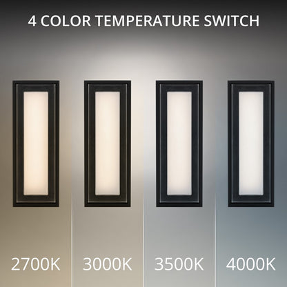 dweLED Beech 1 Light 16" Outdoor Wall Light/4000K, Black/Clear