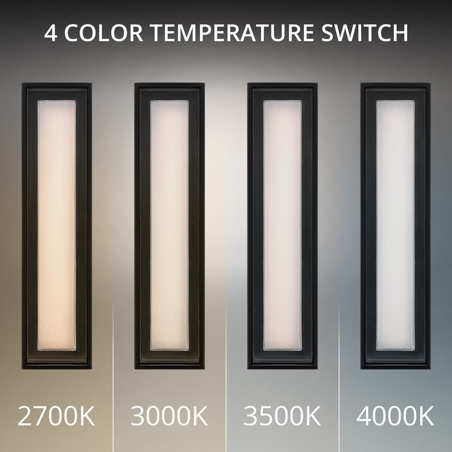 dweLED Beech 1 Light 24" Outdoor Wall Light/4000K, Black/Clear