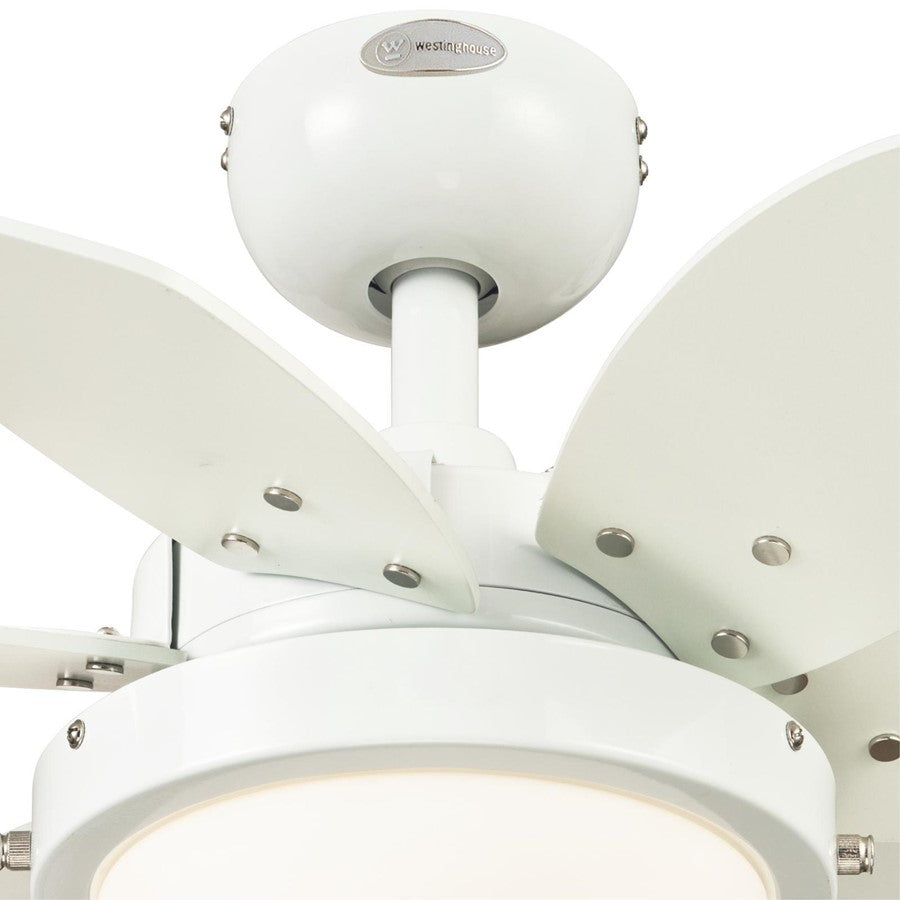 Westinghouse Quince 24in 6-Blade LED Ceiling Fan | White and Reversible White/Beech MDF | Small Bedrooms & Kitchens | Model 7224700