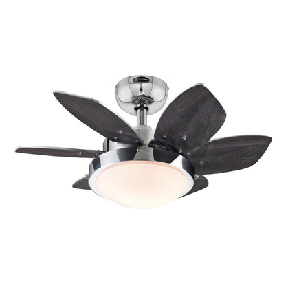 Westinghouse Quince 24in 6-Blade Ceiling Fan | Contemporary Chrome and Reversible Wengue/Beech | Small Bedrooms & Kitchens | Model 7236600
