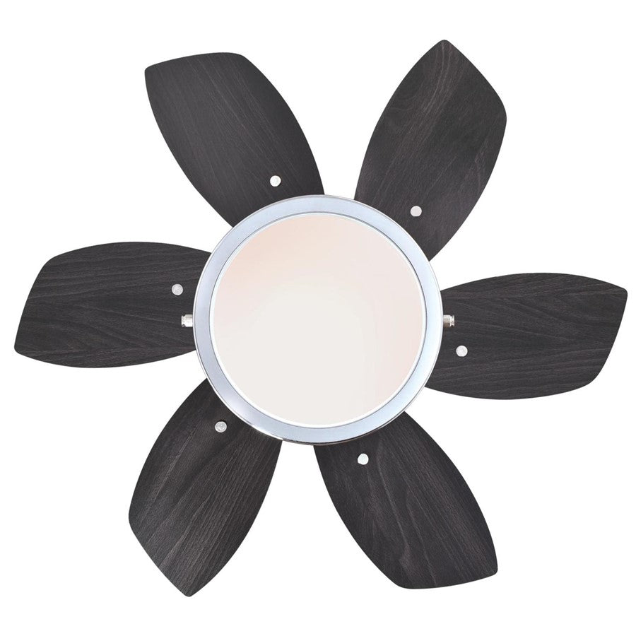 Westinghouse Quince 24in 6-Blade Ceiling Fan | Contemporary Chrome and Reversible Wengue/Beech | Small Bedrooms & Kitchens | Model 7236600