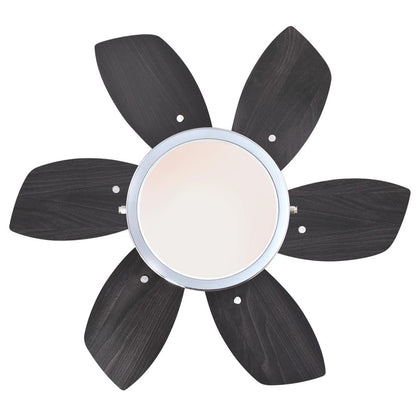 Westinghouse Quince 24in 6-Blade Ceiling Fan | Contemporary Chrome and Reversible Wengue/Beech | Small Bedrooms & Kitchens | Model 7236600