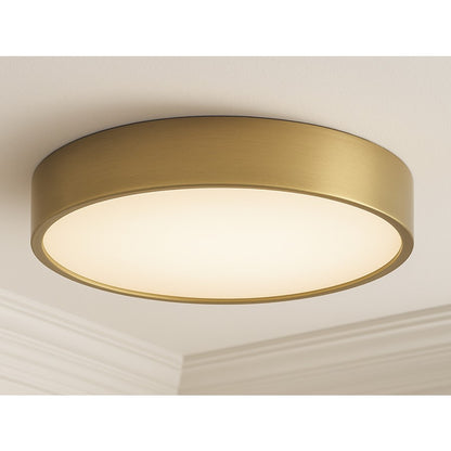AFX Lighting Bailey 1Lt 14" Flush Mount, Antique Brass/Frosted