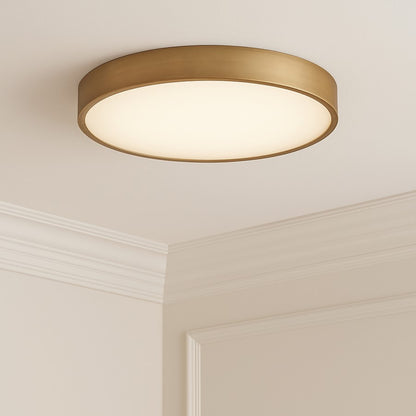 AFX Lighting Bailey 1Lt 19" Flush Mount, Antique Brass/Frosted